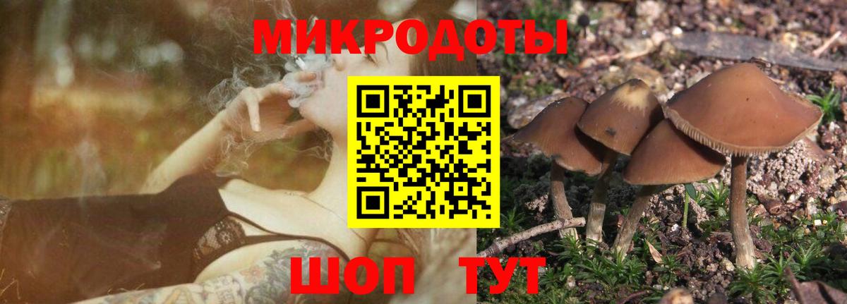 Миллерово  Галлюциногенные грибы MAGIC MUSHROOMS  Вход с VPN  Галлюциногенные грибы Psilocybe 