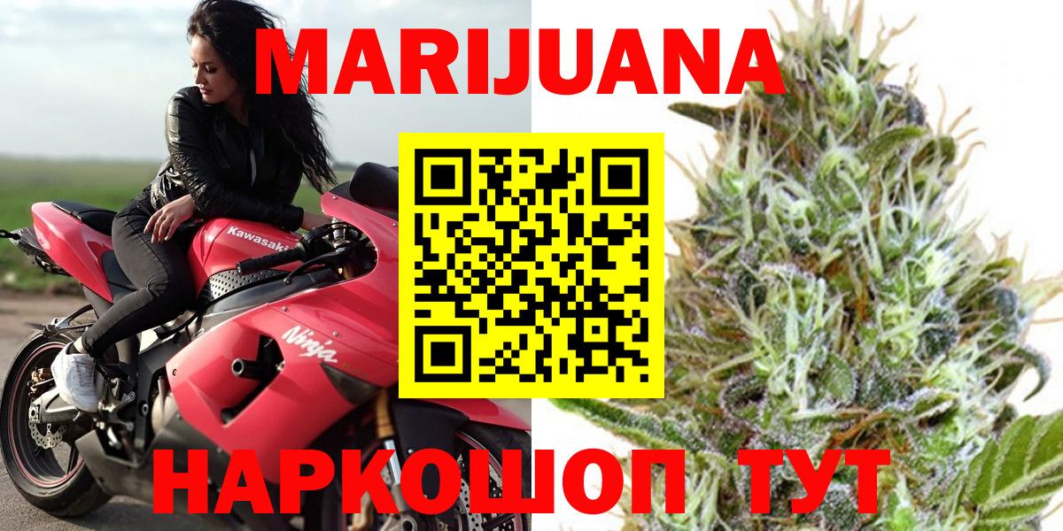 Конопля планчик Миллерово